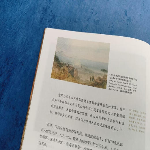 希望的谬误：论透纳 渠敬东 著 开放的艺术史 三联书店 商品图2