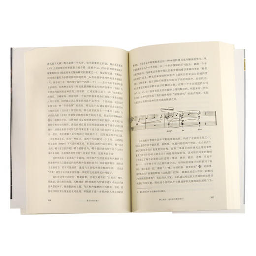 音乐如何可能 (法)弗朗西斯·沃尔夫 著 新知文库 三联书店 商品图2