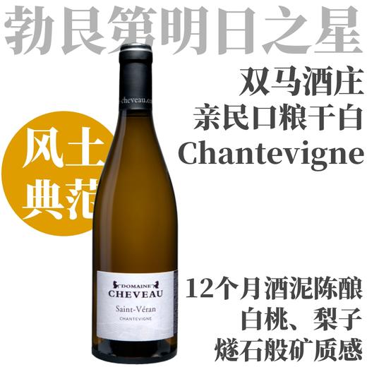 【丰盛白桃奶油！咸鲜燧石勃艮第口粮】  2023 双马酒庄圣维朗“香特”干白   Domaine Cheveau Saint Véran Chantevigne 商品图0