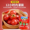 新疆红满多番茄酱3kg*6罐商用一整箱青海拉面西红柿炒面意面0脂肪校区食堂拉面店 商品缩略图2