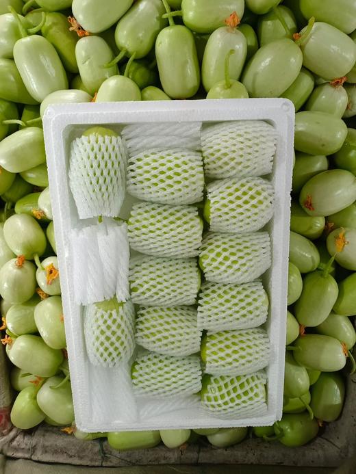 周三取货：【玉女黄瓜】一份2斤左右，小巧可爱，口感松脆爽口！ 商品图12