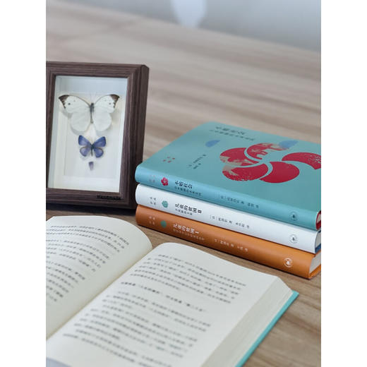 不婚社会：日本婚姻的未来走向 ［日］山田昌弘 著 社会科学 三联书店 商品图3