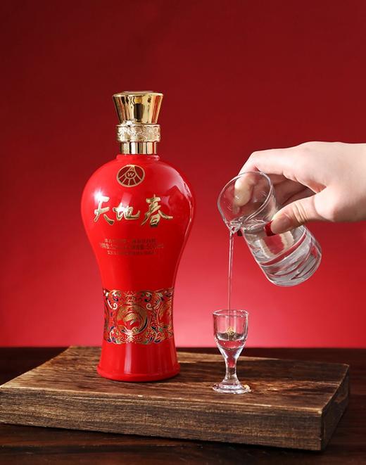 【自营】五粮液天地春 地利红运 52度浓香型白酒 500ml*6瓶 商品图2