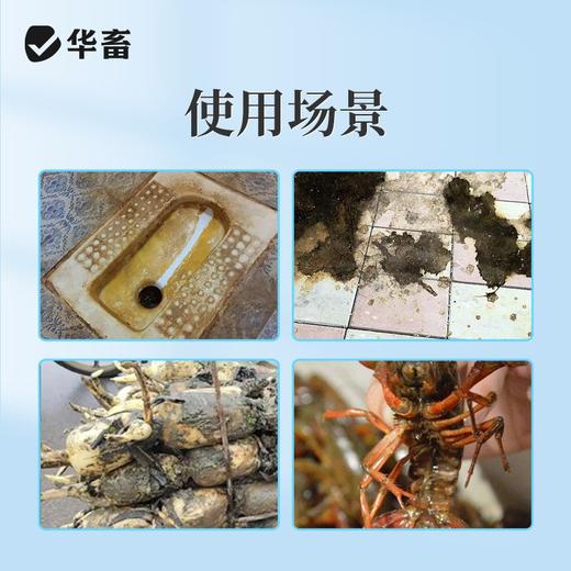 厨房油污除垢下水道堵塞强力溶解通厕所马桶地漏管道疏通毛发分解 商品图2