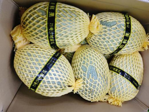 25号晓蜜瓜一个 商品图2