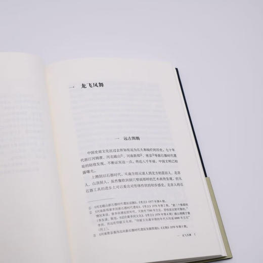 美的历程(精) 李泽厚 著 中国美学的经典之作 艺术美学 三联书店 商品图1