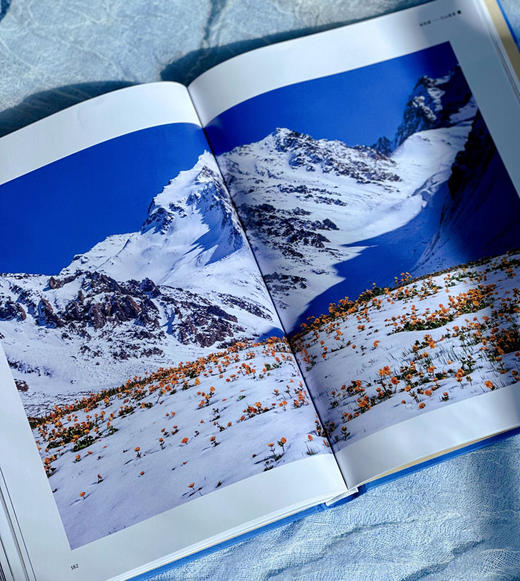 生物多样性之美——明珠伊犁 商品图2