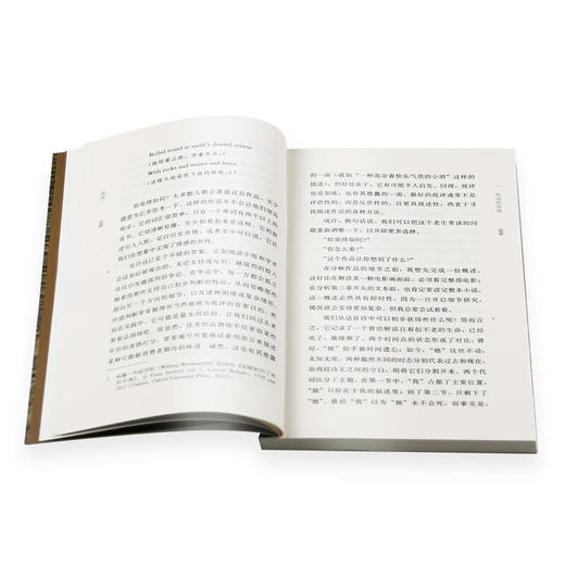 批评 凯瑟琳贝西尔 著 刁俊娅 译 通识文库丛书 文学评论与研究 三联书店 商品图3