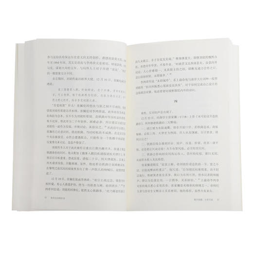 晚清的政局和人物系列：秋风宝剑孤臣泪 姜鸣 著 文学研究 三联书店 商品图2