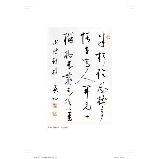 启功三绝:诗书画精选与赏析 启功 著 纪实文学 三联书店 商品图2