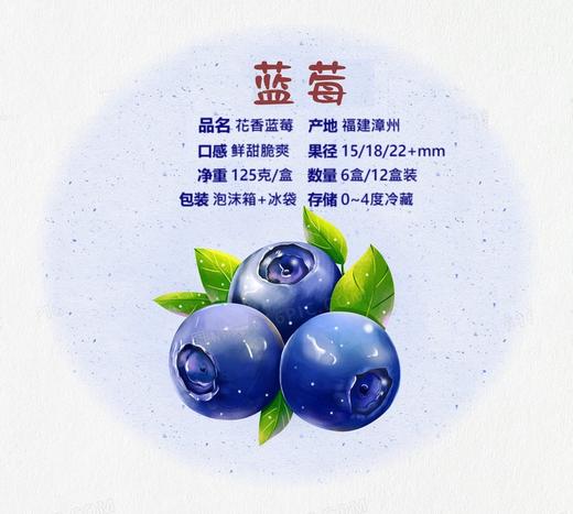 鲜甜脆爽花香蓝莓 商品图3