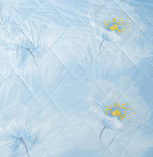 罗莱辽源栎丝™全棉可水洗蚕丝夏被200*230【分仓直发，72小时发货，周末节假日不发货】 商品图3