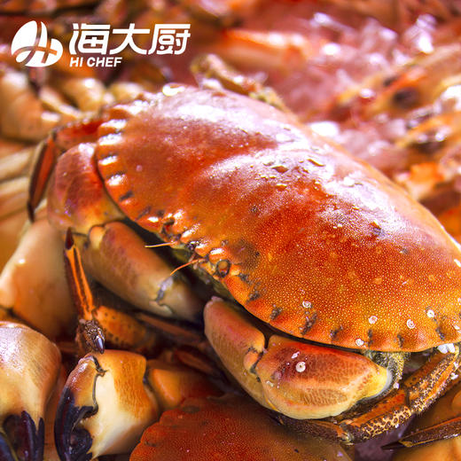 海大厨-面包蟹 商品图2