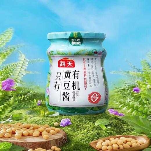 海天有机黄豆酱 360g/瓶 商品图1
