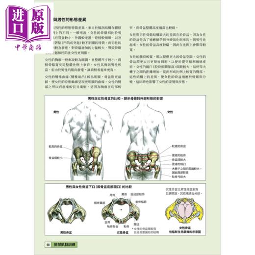【中商原版】女子肌力训练解剖精解 专业解剖插图   女性专属训练指南	Frédéric Delavier 旗标出版 港台原版 商品图2