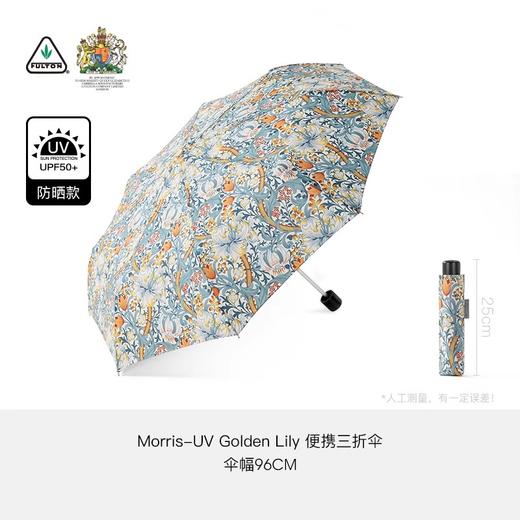 Fulton 富尔顿FULTON英国进口MORRIS雨伞防晒 商品图4