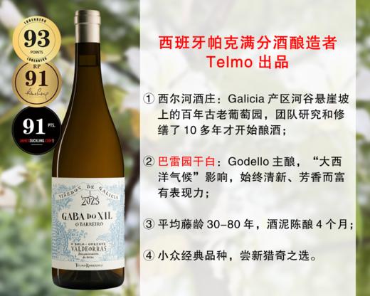 【现货特促，整箱更优惠】Telmo出品，必属精品：西尔河酒庄嘉巴巴雷单一园干白（2023年） 商品图0