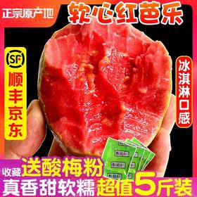 【软心奶油芭乐】广东红心白心芭乐果番石榴 当季水果5斤顺丰包邮
