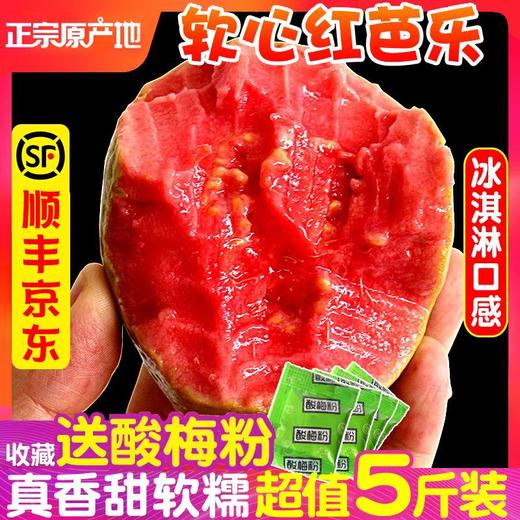 【软心奶油芭乐】广东红心白心芭乐果番石榴 当季水果5斤顺丰包邮 商品图0