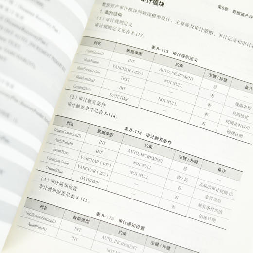释放数据价值 数据资产评估方法与系统设计 数据资产 资产评估 数据科学 信息资产 商品图2