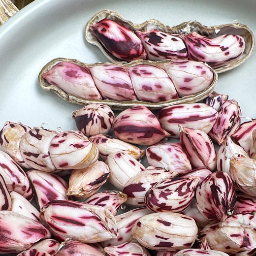 2025新货 云南高原七彩鲜花生 新鲜采摘 带泥带壳发货 商品图3