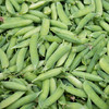 豌豆Pea 商品缩略图0