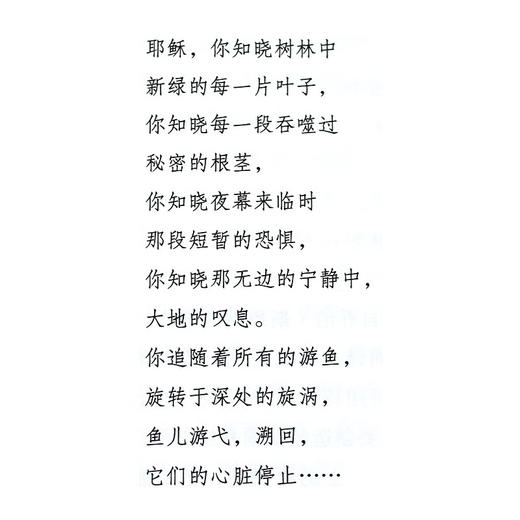 异域的考验 德国浪漫主义时期的文化与翻译 安托万贝尔曼 著 法兰西思想文化丛书 三联书 商品图5