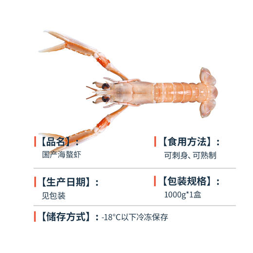 海鳌虾-国产 商品图4