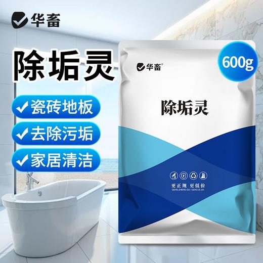 厨房油污除垢下水道堵塞强力溶解通厕所马桶地漏管道疏通毛发分解 商品图0