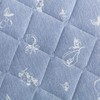 强冷感S25 水果床品系列  薄被/床垫/枕垫 单人/双人/特大双人 商品缩略图10