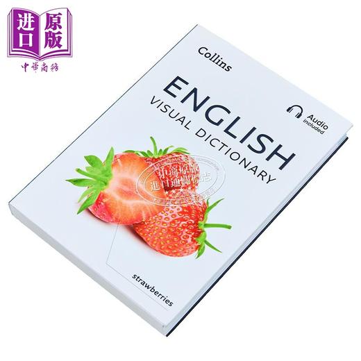 【中商原版】Collins English Visual Dictionary 英语视觉词典 英语日常单词和短语的图片指南 柯林斯视觉词典 英文原版 商品图2