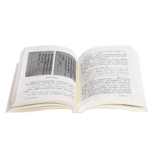 晚清的政局和人物系列：秋风宝剑孤臣泪 姜鸣 著 文学研究 三联书店 商品图1