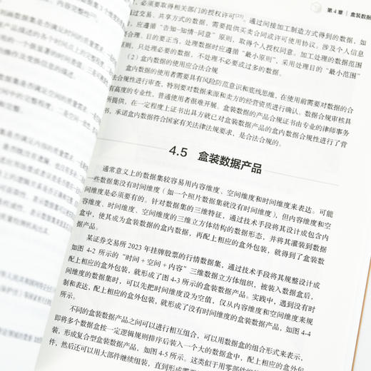 数据资产 第2版 数字经济数字要素 信息资产数据科学 大数据技术 大模型 数据资产研究 商品图2