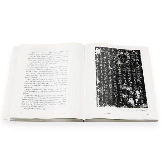 书法 一份关于书法的知识、观念和深入途径的备忘录 邱振中 著 三联书店 商品图5