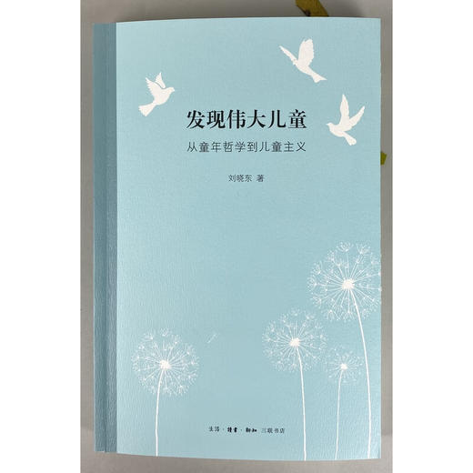 发现伟大儿童 从童年哲学到儿童主义 刘晓东 著 三联书店 商品图4