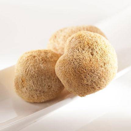 湖北襄阳保康县山水韵猴头菇250g/袋 商品图2