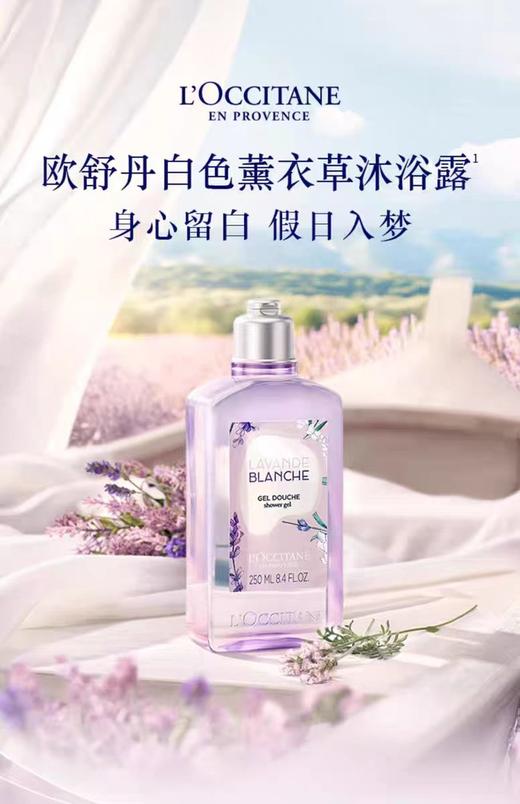 欧舒丹香氛沐浴露白色薰衣草250ml 商品图0