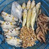 舟山港口海鲜高品质套餐 商品缩略图0