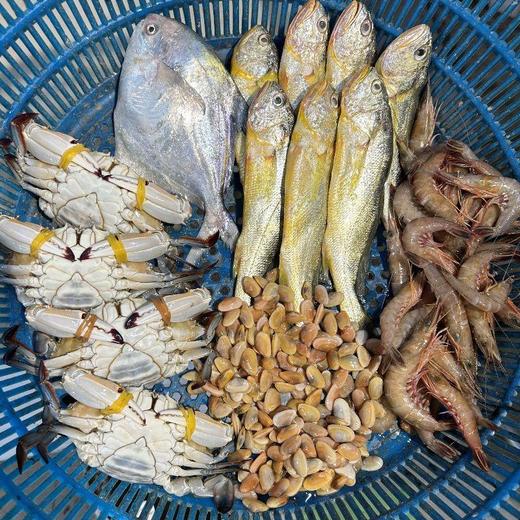 舟山港口海鲜高品质套餐 商品图0