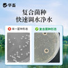 华畜枯草芽孢杆菌菌种水产养殖专用菌原种菌粉虾蟹塘活菌em益生菌 商品缩略图3
