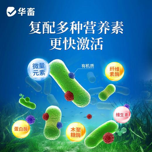 华畜枯草芽孢杆菌菌种水产养殖专用菌原种菌粉虾蟹塘活菌em益生菌 商品图4