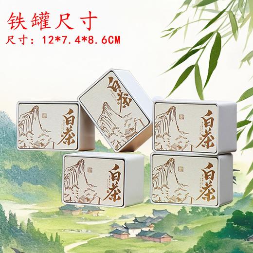 春色满园【米.5听白茶半斤装 】38元1套，共1套 商品图8