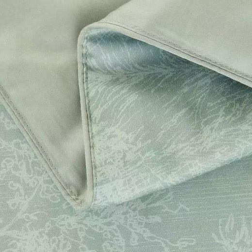 山姆新品‼️‼️Member’sMark桑蚕长丝夏被

200cm*230cm适用于1.5M床，1.8也能用

AB面一面灰色 一面绿色 山姆夏被礼盒包装

原价339 商品图8