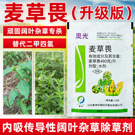 奥光48%麦草畏玉米田除阔叶杂草圆叶杂草专用除草剂农药正品农用 商品图0