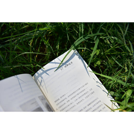 【独秀书香卡】魔法象·故事森林  叶圣陶的故事 4~8岁、8~12岁及以上 儿童文学 商品图6