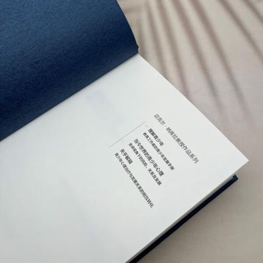 理解青少年 教育工作者的青少年发展手册 青少年的发展与教育 当代世界德育名家译丛生活读书新知三联书店旗舰店 商品图2