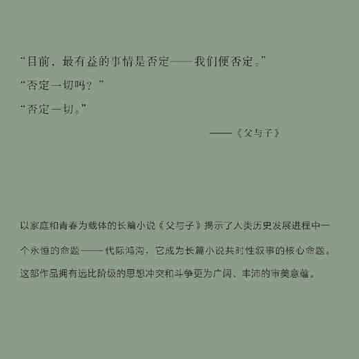 父与子 （三联精选经典新读） 屠格涅夫 著 三联精选 三联书店 商品图1