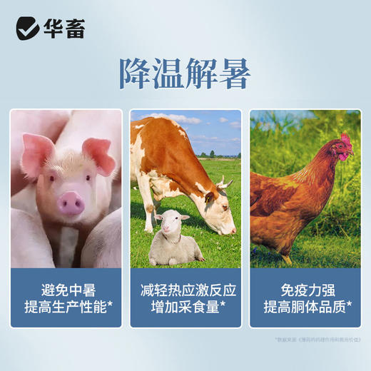 华畜解暑灵解暑抗暑避免中暑降温抗应激猪牛羊家禽薄荷饲料添加剂 商品图1