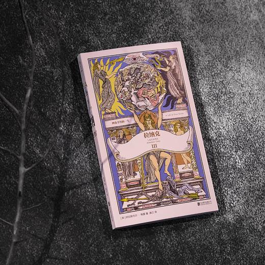 拉纳克：四卷书里的一生 商品图5