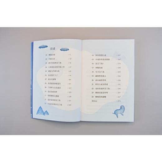 【独秀书香卡】魔法象·故事森林  艾兰岛的守护者  8~14岁及以上 儿童小说 儿童文学 商品图6